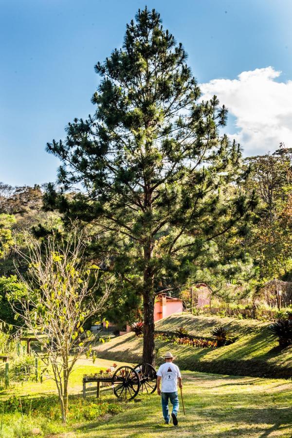 Sitio Araxa - 82 Anos De Historia - Suite Confortavel Em Meio A Floresta Paty do Alferes Kültér fotó