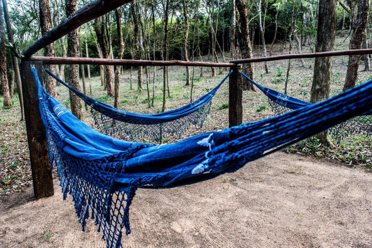 Sitio Araxa - 82 Anos De Historia - Suite Confortavel Em Meio A Floresta Paty do Alferes Kültér fotó